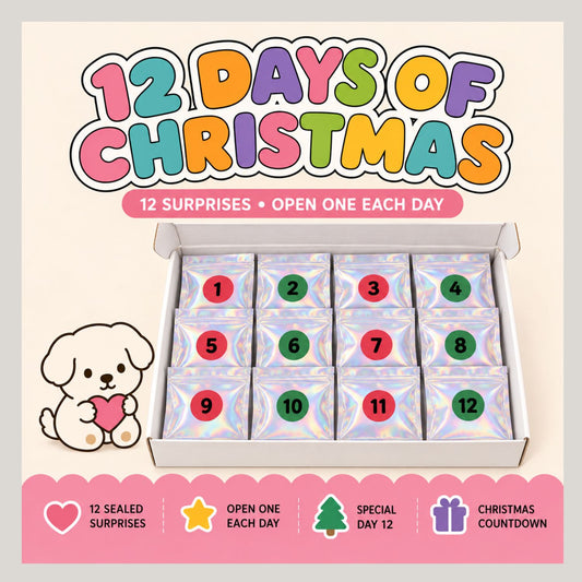 12 Days of Christmas Surprise Box